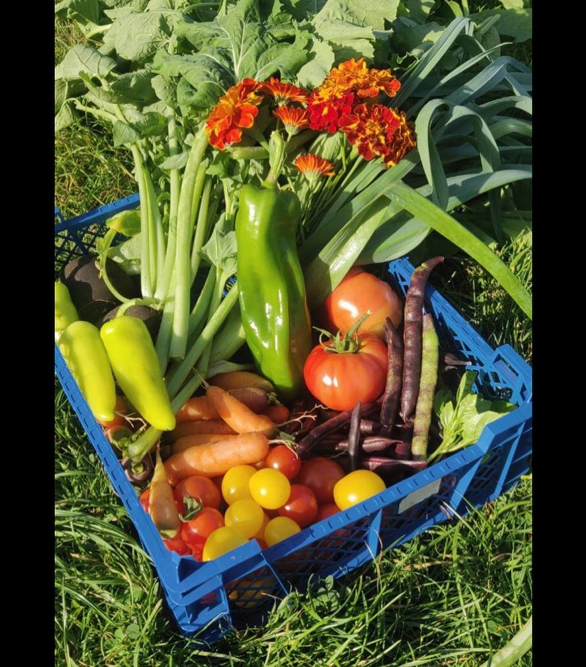 Monthly Gardening Support