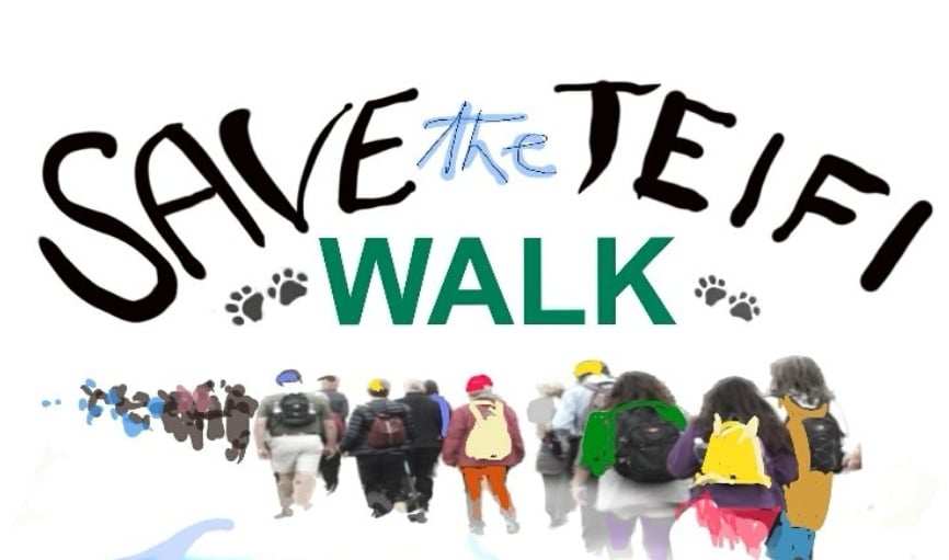 Save The Teifi Walk