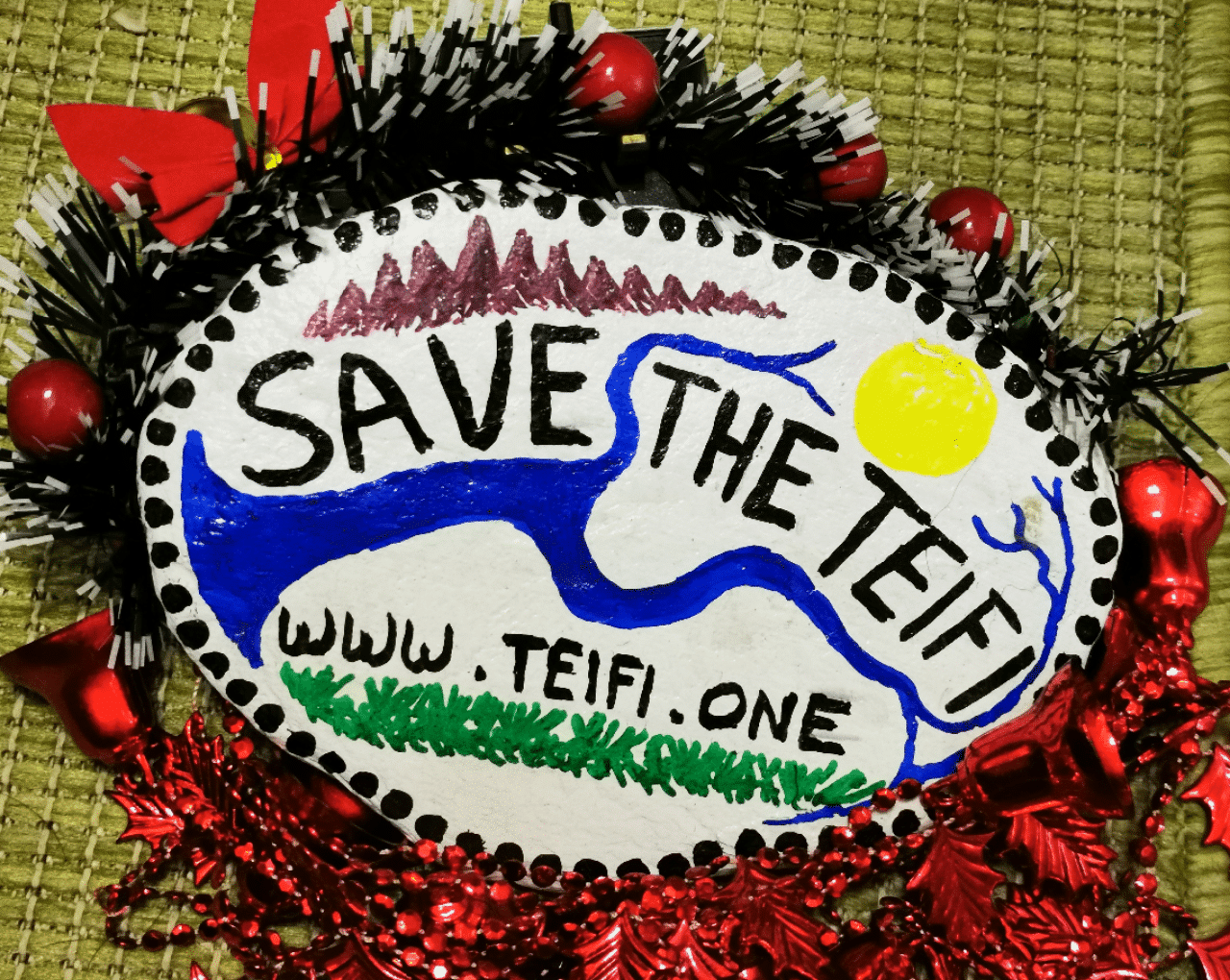 Save The Teifi Update
