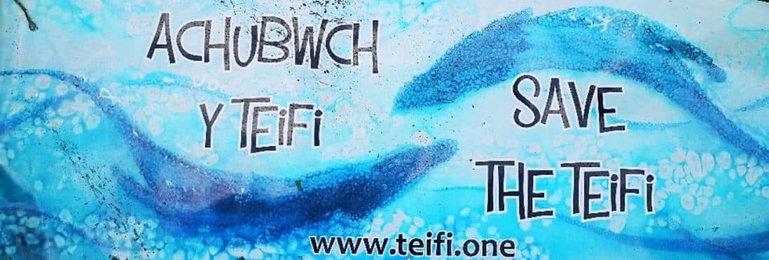Save The Teifi