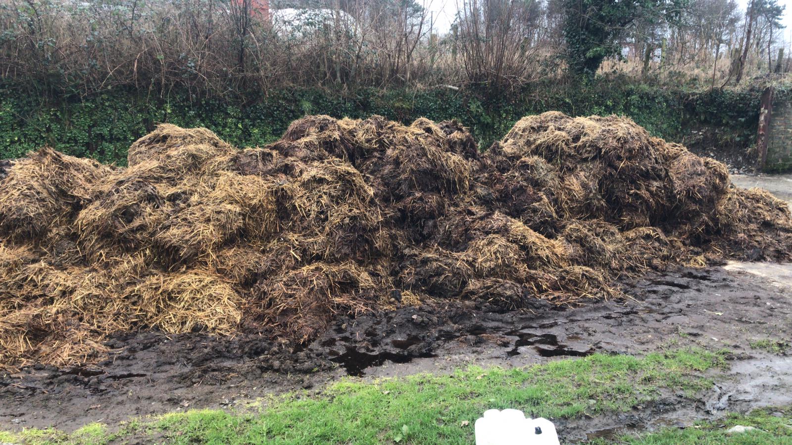 Vermicomposting