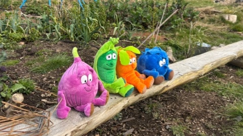 Field Of Beans school activities
